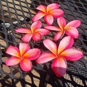 Meet your Posher, Katherine n